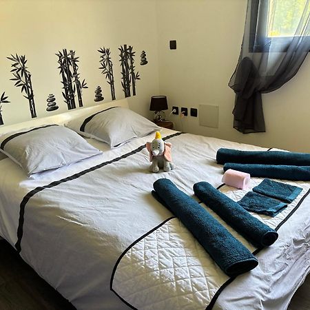 Labastide-du-Temple Maison Moderne Au Calme Avec Billard, Jacuzzi, Bain A Remous, Piscine, Babyfoot מראה חיצוני תמונה